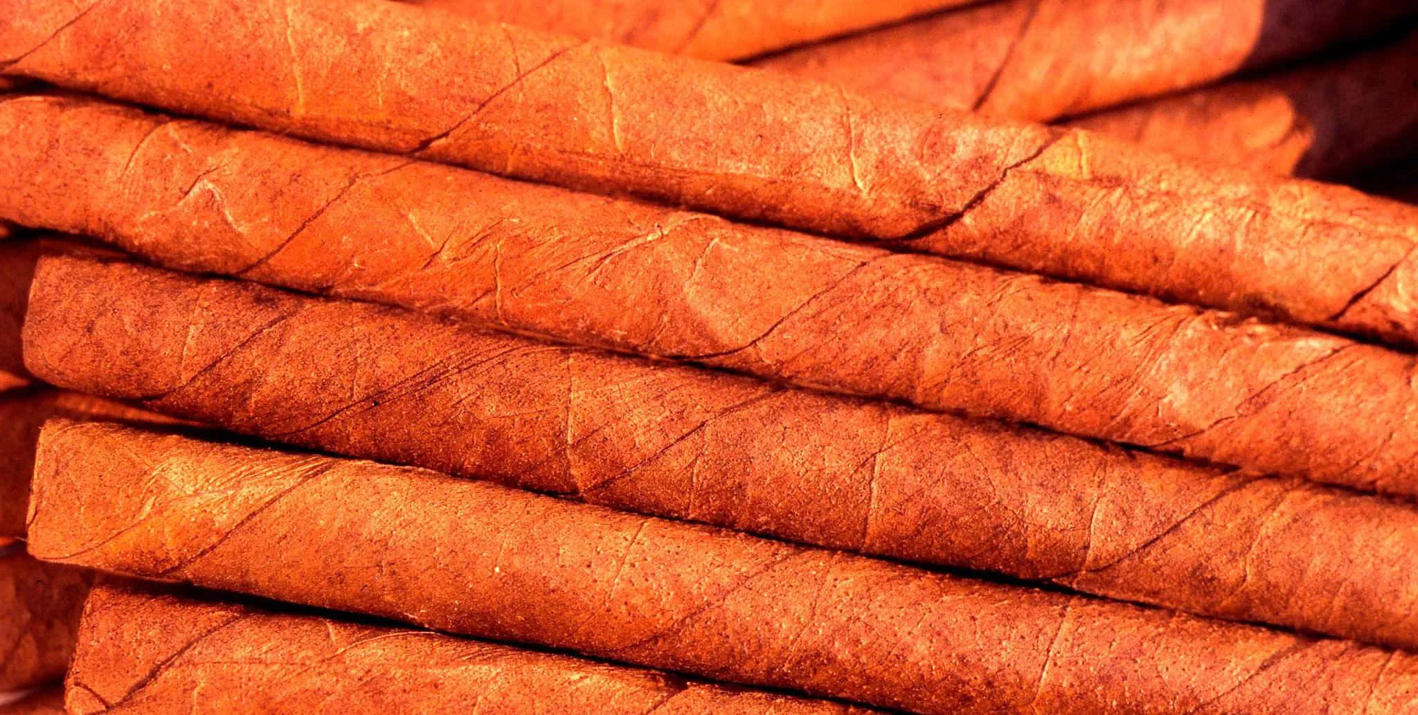 nuway tobacco jobs Tobacco Sheet Production Jobs